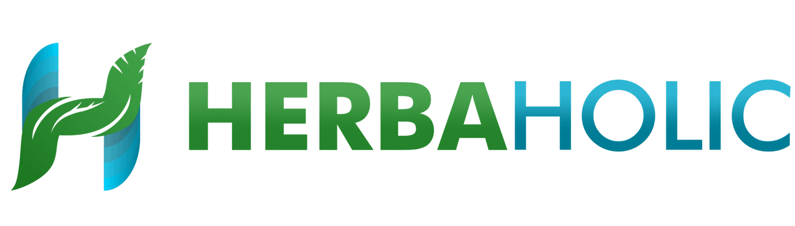 logo png 02 big