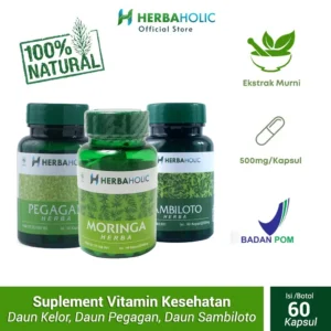 coba.herbaholic.id paket booster daun kelor pegagan sambiloto