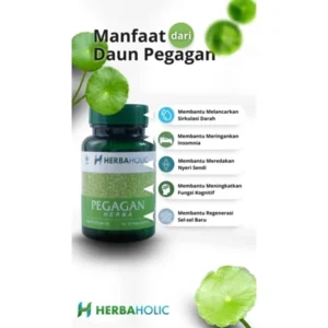 coba.herbaholic.id kapsul ekstrak daun pegagan 500 mg 60 capsules
